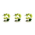 thumbnail image 1 of Inteprter Orquídeas artificiales Flor falsa Plantas en maceta Cuenco blanco Maceta Flores Ramo Toque real Hogar Cocina Arreglo Verde Type1 NO1, 1 of 6