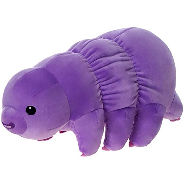 purple bear stuffed animal