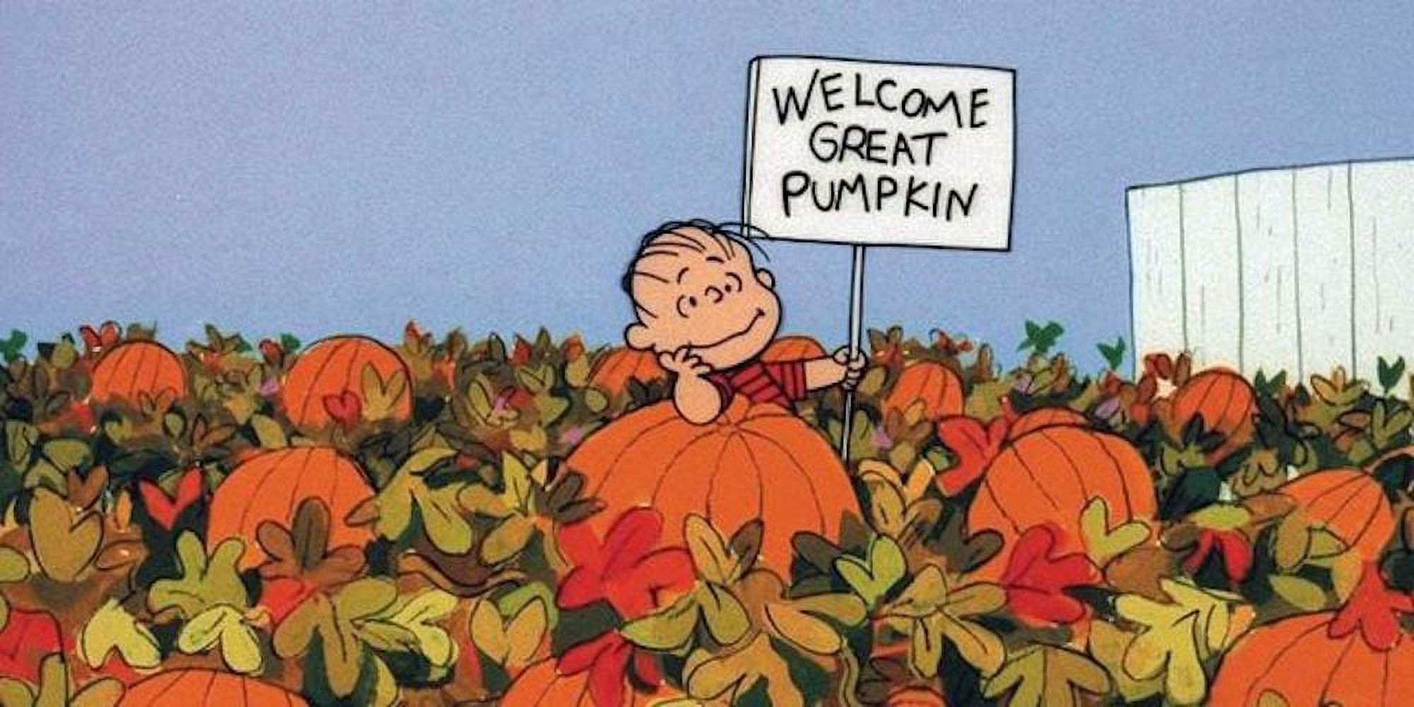 It's the Great Pumpkin, Charlie Brown (DVD), Warner Home Video, Animation - image 5 of 9