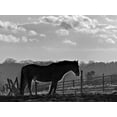 thumbnail image 2 of Henson, Martin 32x25 Gold Ornate Wood Framed with Double Matting Museum Art Print Titled - Evening Light III, 2 of 4