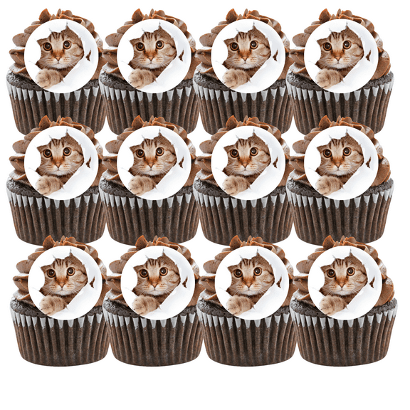 Kitten Cat 12 - 2 inch Cookie Cupcake Edible Frosting Photos Decoration Toppers