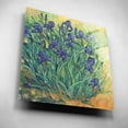 thumbnail image 2 of Epic Art 'Irises in Bloom II' by Tim O'Toole, Acrylic Glass Wall Art, 12"x12", 2 of 7
