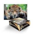 thumbnail image 1 of ROMPECABEZAS 1000PZAS CH JAGUAR, 1 of 3