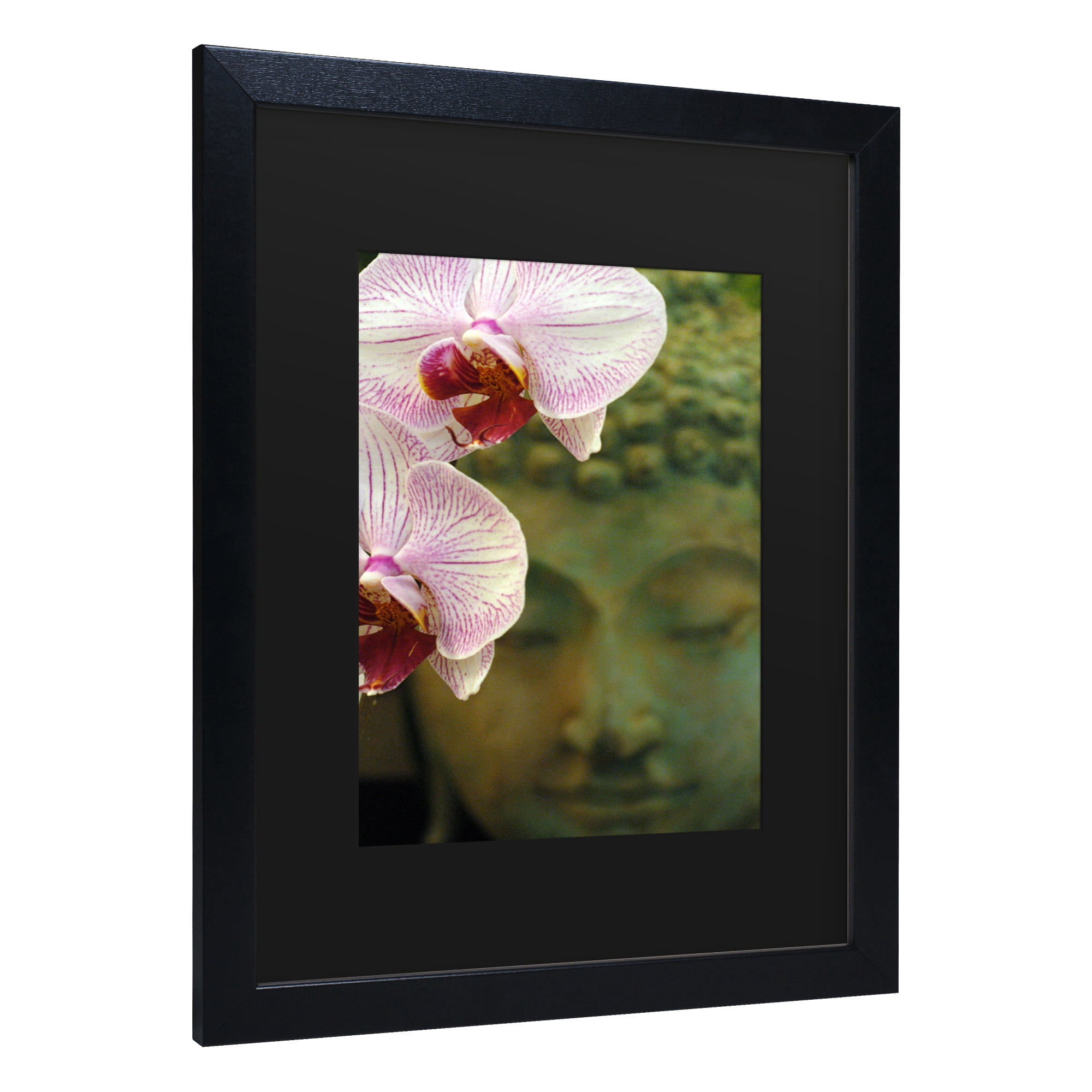 Trademark Fine Art 'Orchids and Buddha' Canvas Art by Kurt Shaffer