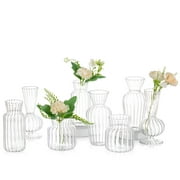 8Pcs/ Set Small Vase Different Geometric Stripe Shape, Bud Vases in Bulk Simplicity Clear, Cute Mini Flower Vases Glass Narrow Neck for Home, Centerpieces, Table Decor