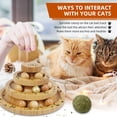 thumbnail image 3 of Pelota de 3 niveles para gatos DoogCat Kitty Toys Roller, 3 of 7