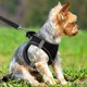 thumbnail image 5 of Arnés Tractive para Cachorros, Arnés de Malla Suave Ajustable, Kit de arnés con Correas Reflectantes para Cachorros y Gatos, Perros medianos (S, Negro) JM, 5 of 5