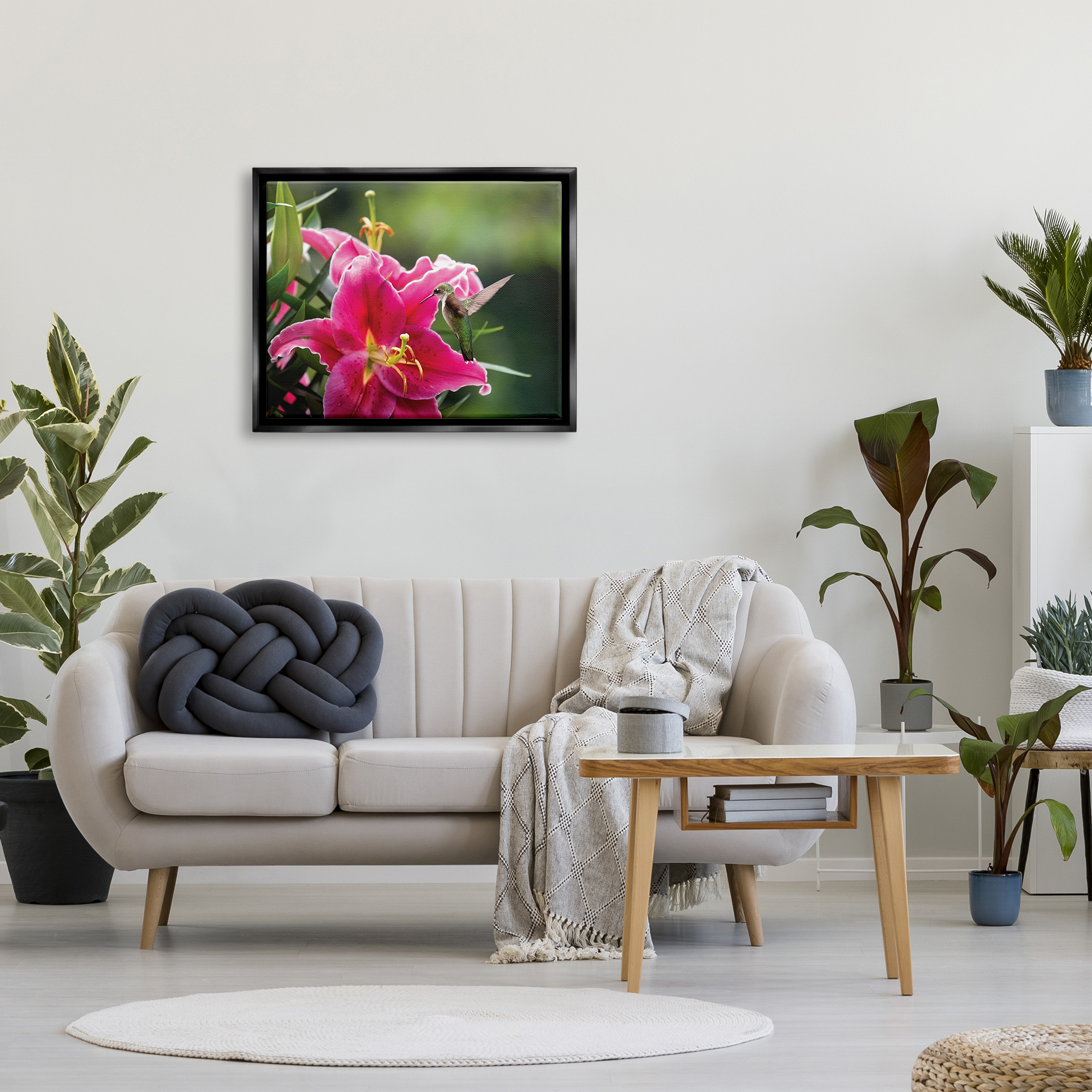 Stupell Industries Hummingbird with Hibiscus Animals & Insects Photography Black Floater Framed Art Print Wall Art, 31 x 25