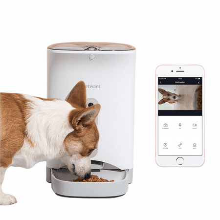 Endymata Automatic Pet Feeder With Camera