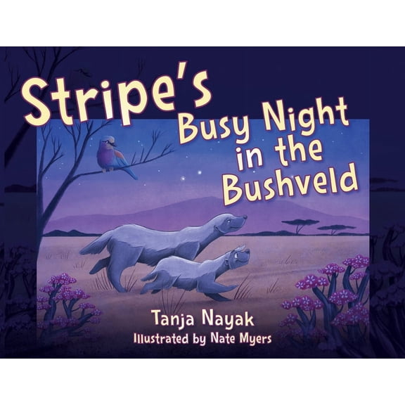 Stripe's Busy Night in the Bushveld, (Paperback)