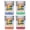 Multicolor (4-Pack), variant on Surfside Beach South Carolina Vintage Design Souvenir 2 oz Square Shot Glass – Red