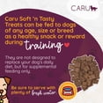 thumbnail image 6 of Caru Soft 'n Tasty Wild Boar Recipe Baked Bites Dog Treats, 3.75 Oz., 6 of 6