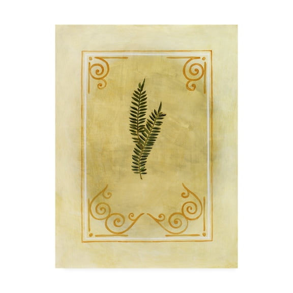 Trademark Fine Art 'Fern Leaf Framed 8' Canvas Art by Pablo Esteban