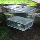 thumbnail image 3 of Caja Transparente para Criadero Rium Aislamiento Pecera Incubadora Aqua, 3 of 9