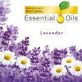 thumbnail image 2 of Air Wick Scented Oil Air Freshener, Lavender and Chamomile Scent, 1 Refill, 0.67 oz (Pack of 3), 2 of 8