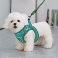 thumbnail image 3 of MoNiBloom No Pull Dog Harness with Leash, No Choke Reflective Pet Vest Adjustable Breathable Mesh Harnesses Dogs Walking, Lawn Green XS, 3 of 10