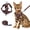 Brown, variant on Wanheart Summer cat Chest Harness and Leash, Anti-Escape Adjustable Soft mesh cat Leash and Chest Harness Set for All Types of Cats cat Vests (Emerald, M)