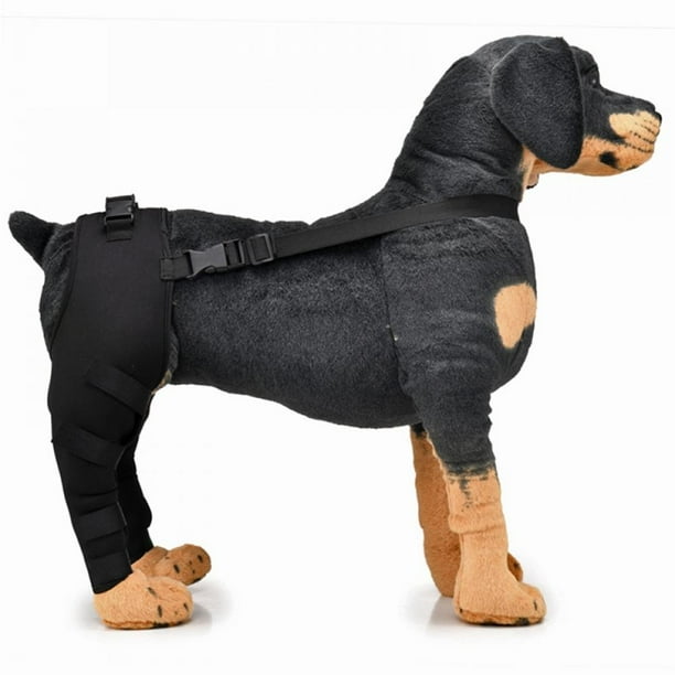 Dog 2024 elbow protector