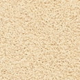 thumbnail image 4 of SAFAVIEH Clyde Solid Plush Polyester Shag Area Rug, Cream, 5' x 5' Square, 4 of 5