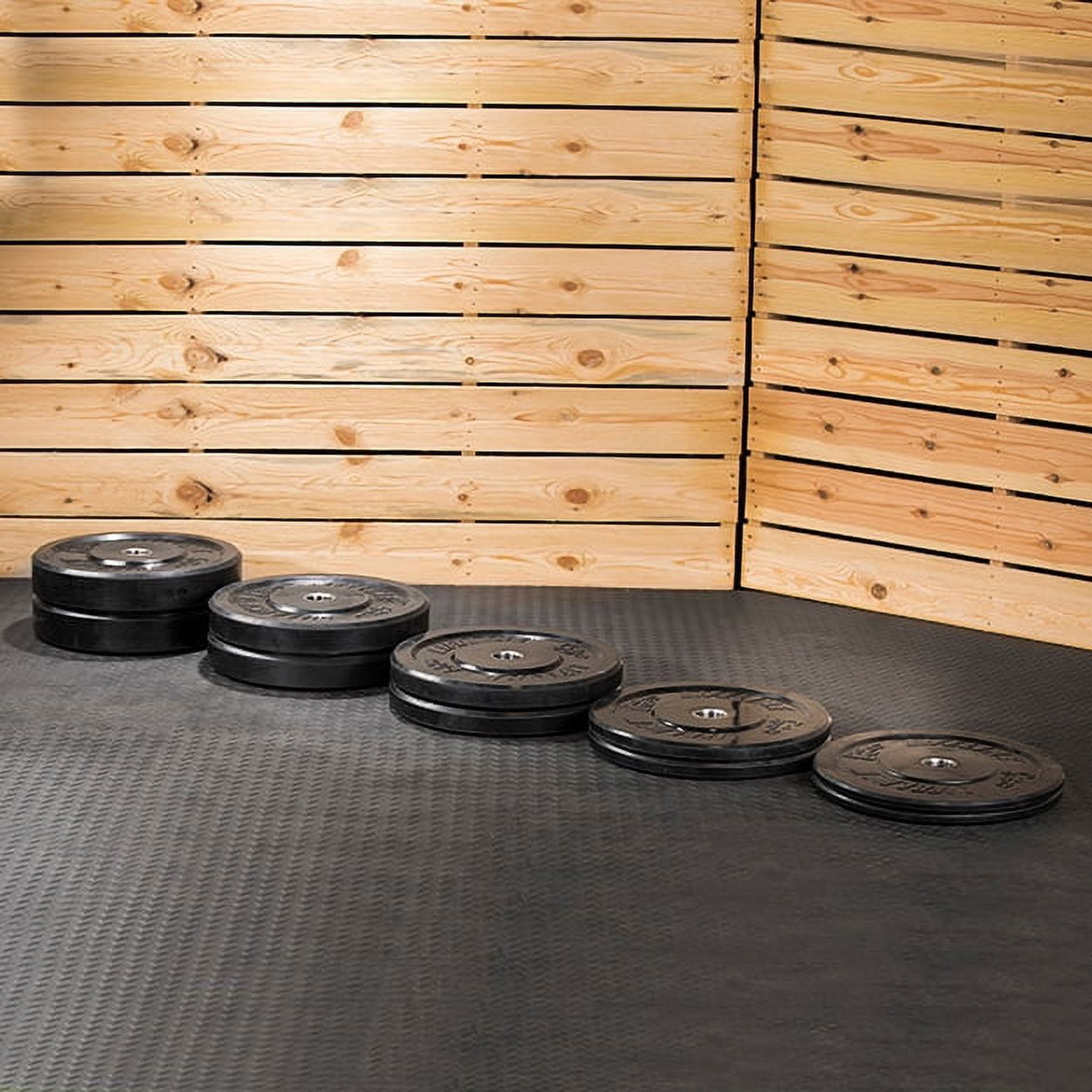 Lifeline Fitness 260 lb Rubber Bumper Plate Set
