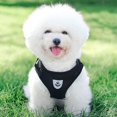 thumbnail image 3 of CHAO Arnés y correa para perros, juego de arnés acolchado de malla suave para perros y gatos, chaqueta transpirable ajustable con interior reflectante, adecuado para caminar, Ru, 3 of 5