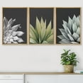 thumbnail image 2 of IDEA4WALL Framed Canvas Print Wall Art Set of 3 Trio of Echevaria Succulents Floral Plants Set Nature Plants Photography Modern Art Closeup for Entryway, Bedroom, Office - 24"x36"x3 Natural, 2 of 5