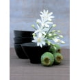 thumbnail image 2 of Beyler, Catherine 12x14 White Modern Wood Framed Museum Art Print Titled - Composition Zen - Coupes, fleurs dAgapanthe et Pavots, 2 of 4