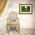 thumbnail image 3 of Johnson, George 32x23 Gold Ornate Wood Framed with Double Matting Museum Art Print Titled - New Zealand Garden, 3 of 4