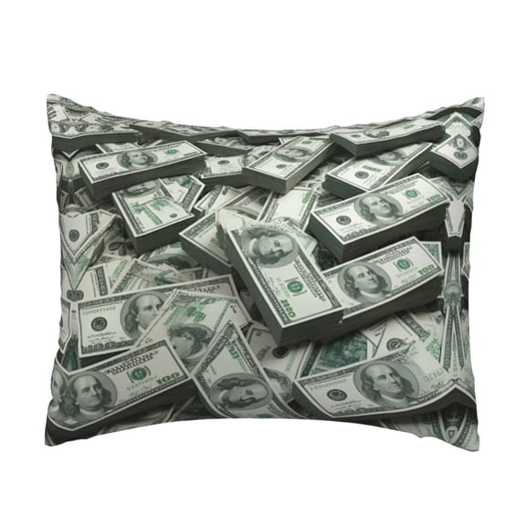 Pillowcase Dollar Money 20x26 Inches Throw Pillow Case Cushion Cover Bed Pillow Cover