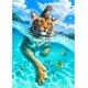 thumbnail image 1 of Pintura De Diamante 5D Tigre Y Gato Arte De Diamante Para Adultos, Kit De Diamante De Tigre Para Niños Completo, Diy Diamante Rhinestone Punto De Cruz Pintura De Cristal Decoración De Pared Rojo Verde Cocina, Decoración y Otros, 1 of 5