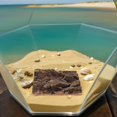 thumbnail image 4 of OULII 4pcs Basking Hide for Bearded Dragon Tree Bark Platform for Indoor Pet Keeping with Flat Panel, 4 of 6