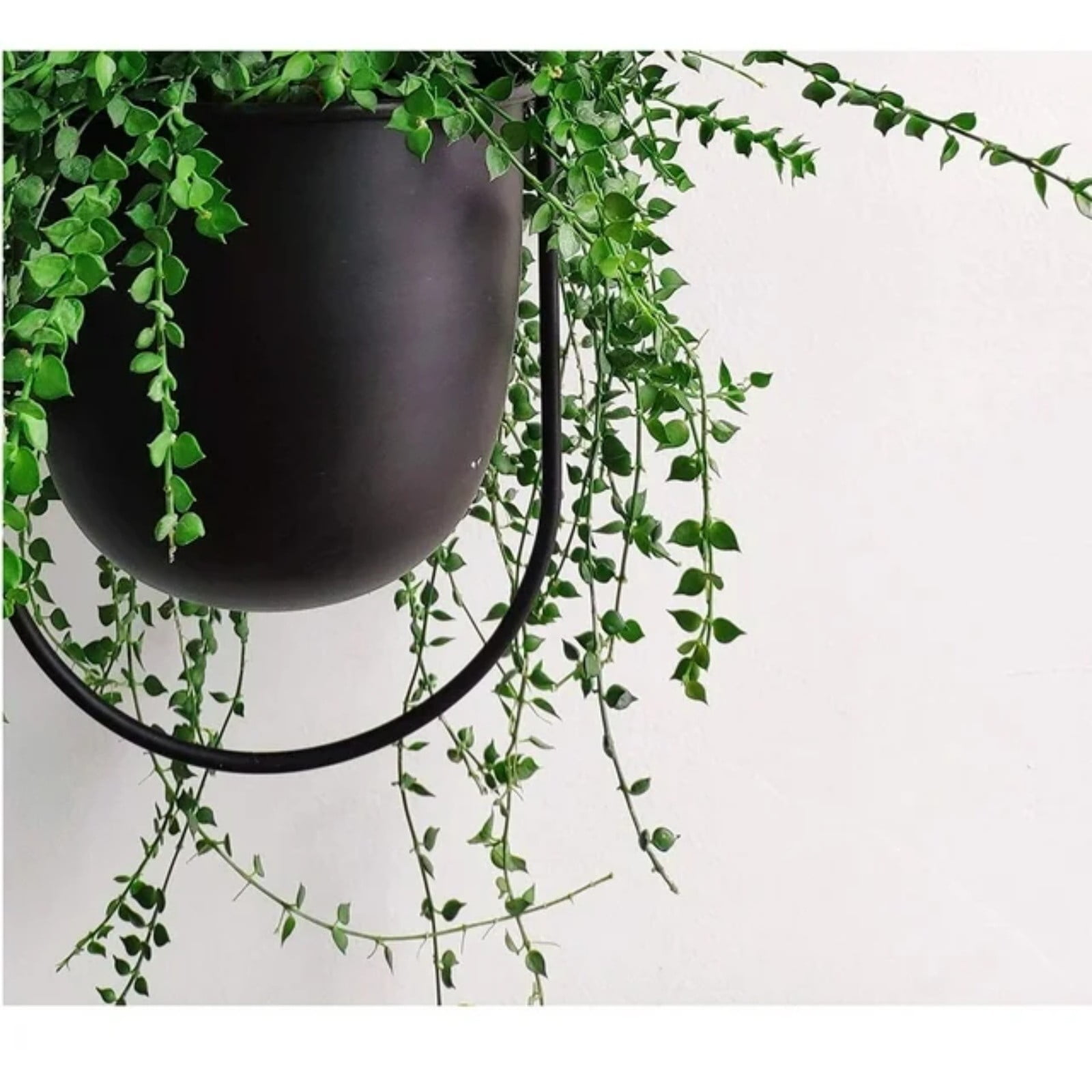witspace Boho Black Metal Plant Hanger,Metal Wall and Ceiling Hanging Planter, Modern Planter, Mid Century Flower Pot Plant Holder, Minimalist Planter for Indoor Outdoor Home Decor