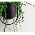 thumbnail image 6 of Metal Hanging Planter for Indoor Outdoor Plants Metal Minimalist Wall Ceiling Plant Hanger Hanging Flower Pot Basket Holder Wall Decor for Home Office Round Hanging Flower Pots for Garden !Black, 6 of 6