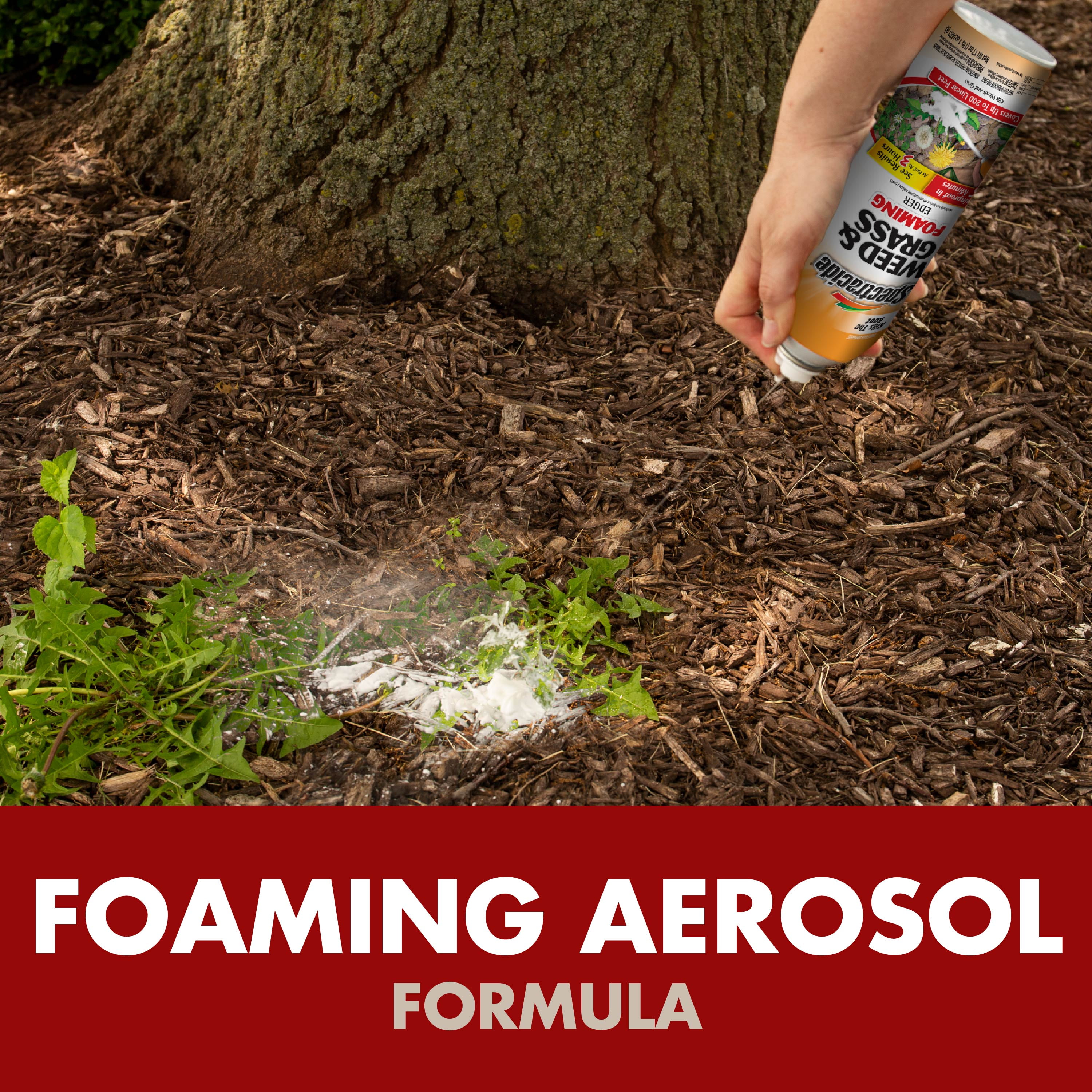 Spectracide Weed And Grass Foaming Edger Aerosol, For Edging Along Yards, 17 Ounces