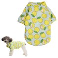 thumbnail image 1 of 2 piezas de ropa para mascotas, suéter de dos piezas para mascotas, ropa bonita con patrón de limón verde de dibujos animados para mascotas MFZFUKR BST3001078-1, 1 of 6