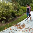 thumbnail image 3 of WORX WG506 7.5 Amp 2-Speed Electric Leaf Blower, 3 of 5