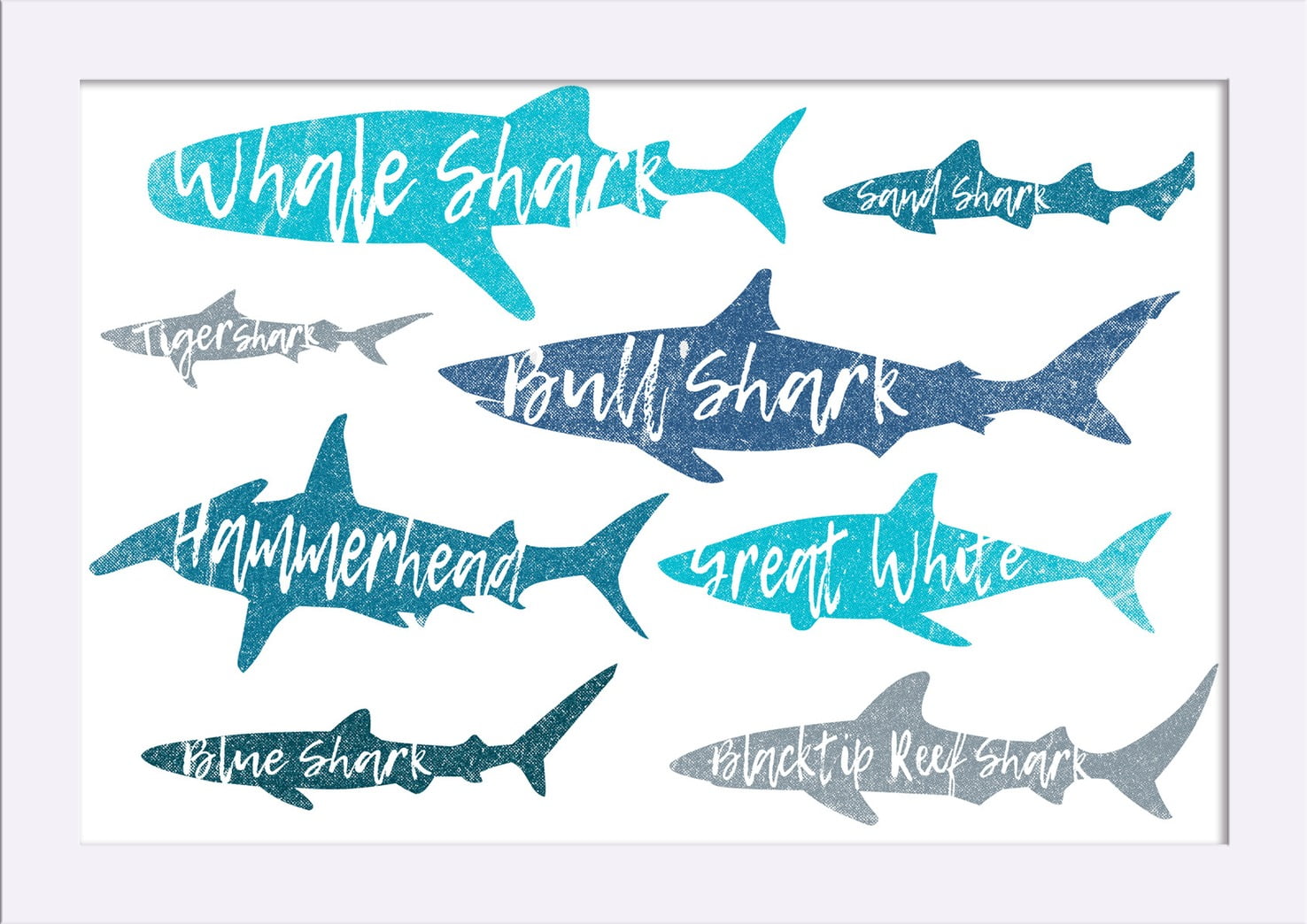 Sharks - Pattern - Shark Names - Lantern Press Artwork (18x12 Giclee