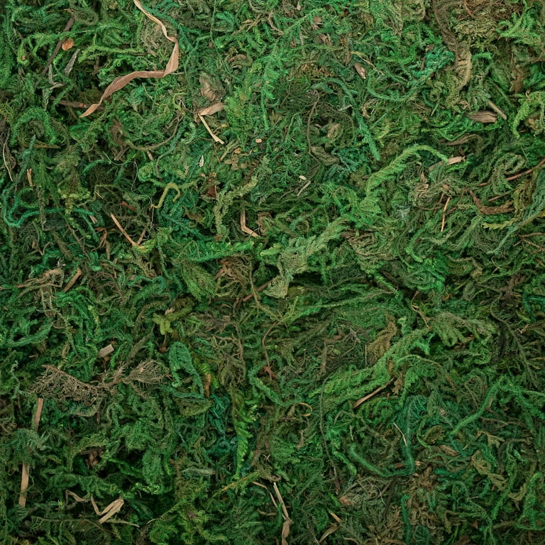 Fluker's Green Reptile Terrarium Moss, 8-Quart