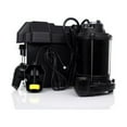 WAYNE ESP25 12Volt Battery Backup Sump System