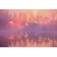 thumbnail image 2 of Liu, Wei 14x11 White Modern Wood Framed Museum Art Print Titled - Swan Lake Sunrise, 2 of 4