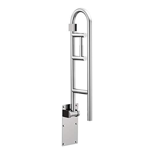 Moen R8962FD Barre d'Appui Rabattable de 30 Pouces pour Salle de Bain avec Porte-Papier Toilette, Inox