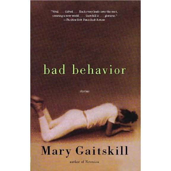 Bad Behavior : Stories (Paperback)