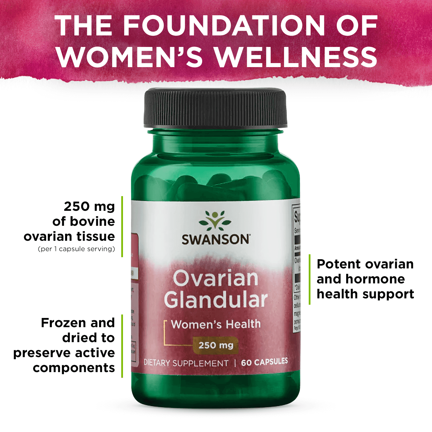 Swanson Ovarian Glandular 250 mg 60 Caps 3 Pack