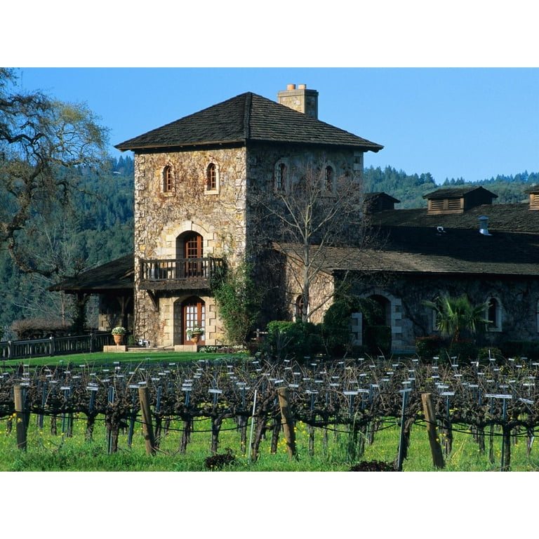 V Sattui Winery V Sattui Winery And Vineyard In Helena, Napa