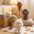 thumbnail image 5 of Plush Teddy Toy Cute Puppy Stuffed Animal - Soft Hug Pet Companion Gift, 5 of 8