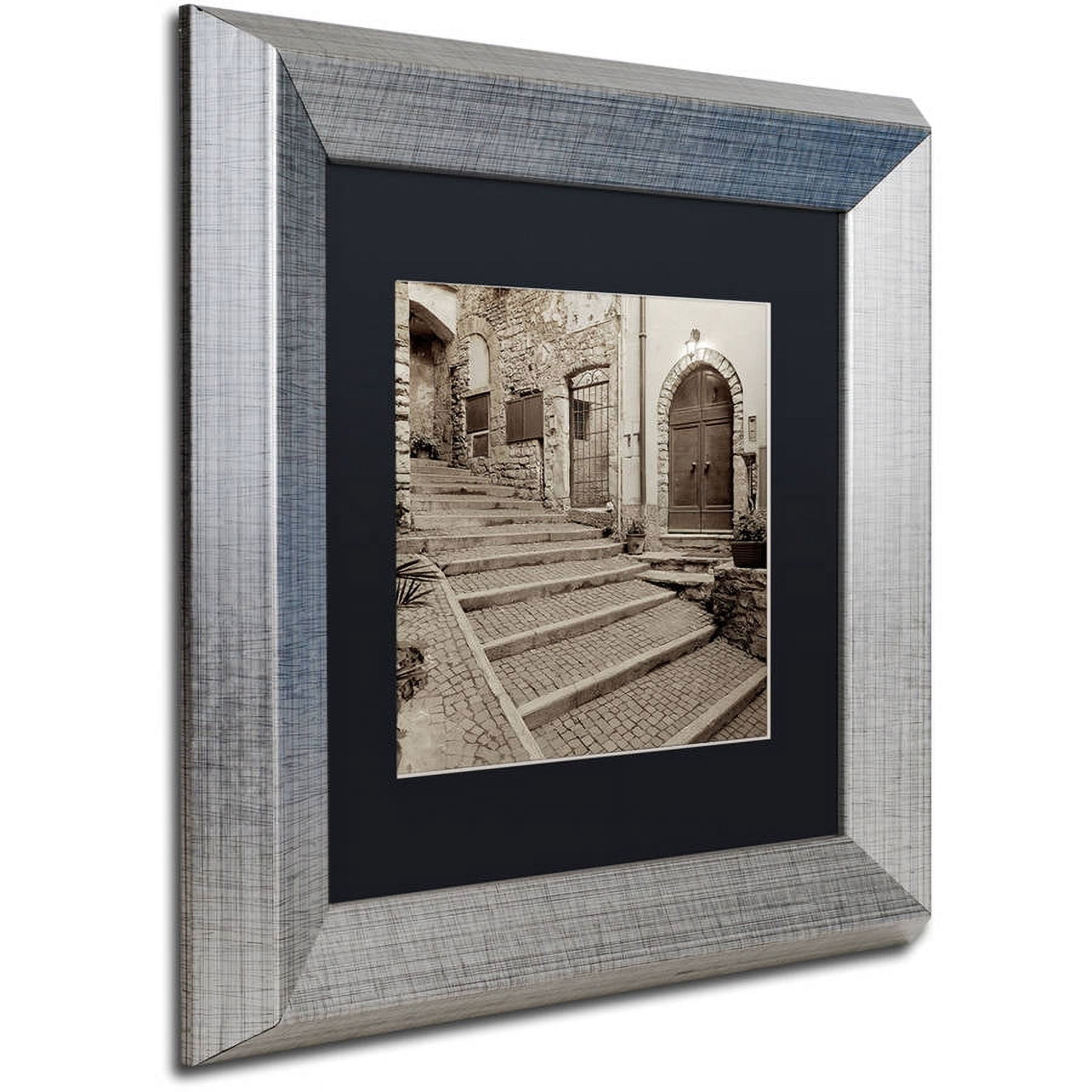 Trademark Fine Art "Lombardy I" Canvas Art by Alan Blaustein, Black Matte, Silver Frame