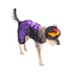 thumbnail image 3 of Disfraz Catrina Halloween Pet Pals Talla 2, 3 of 4