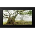 thumbnail image 2 of Krahmer, Frank 18x11 Black Modern Framed Museum Art Print Titled - Laurel forest in fog, Madeira, Portugal, 2 of 5