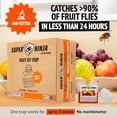 thumbnail image 2 of Super Ninja Fruit Fly Trap - 12 pack - Highly Effective Ecological Fruit Fly Traps Indoor - Environmentally Responsible Fruit Fly Killer - User Friendly - Up to 3 Weeks per Bottle, 2 of 8