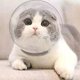 thumbnail image 2 of Funda para casco de gato transpirable, espacio antimordeduras, 2 of 5